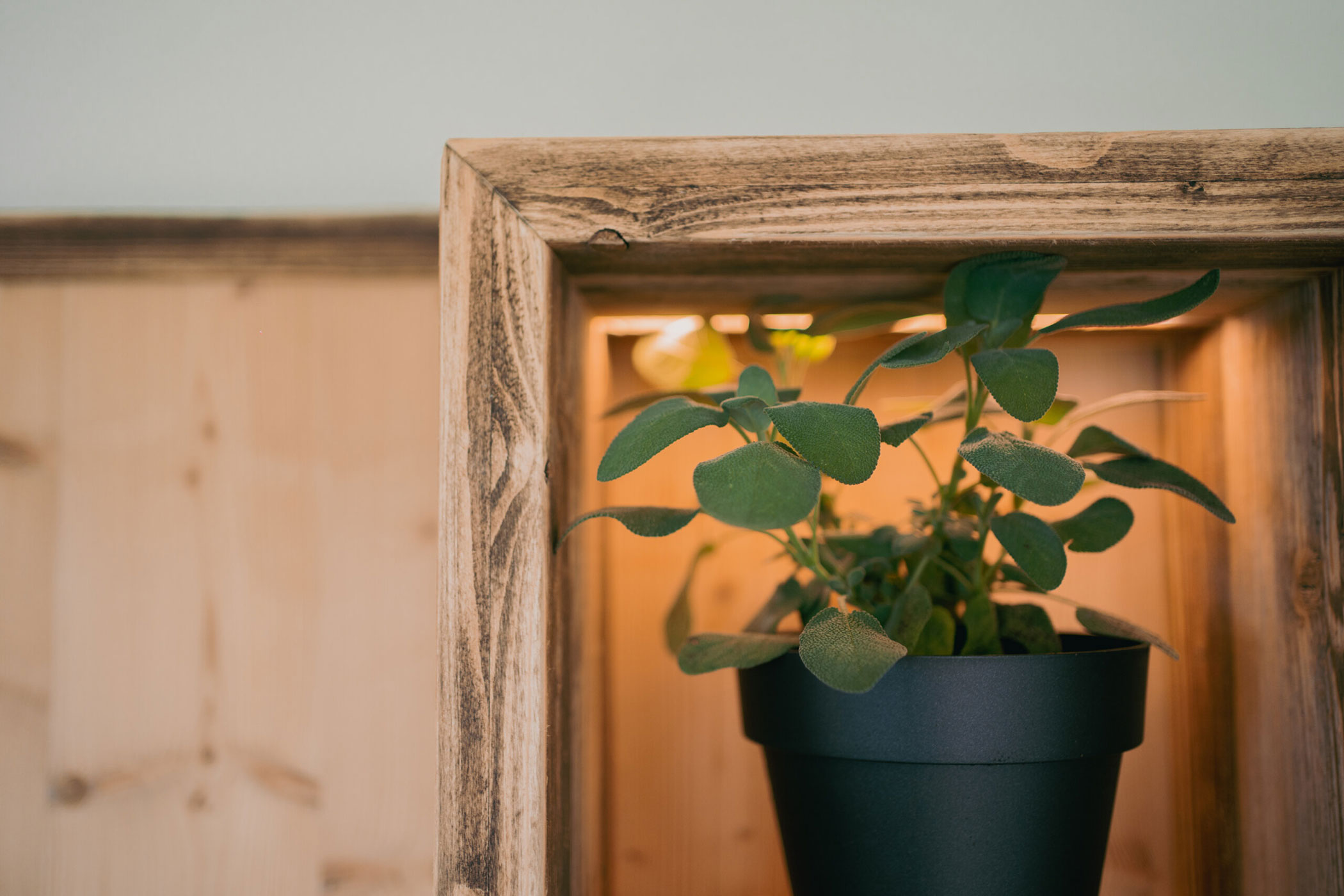 Decoration